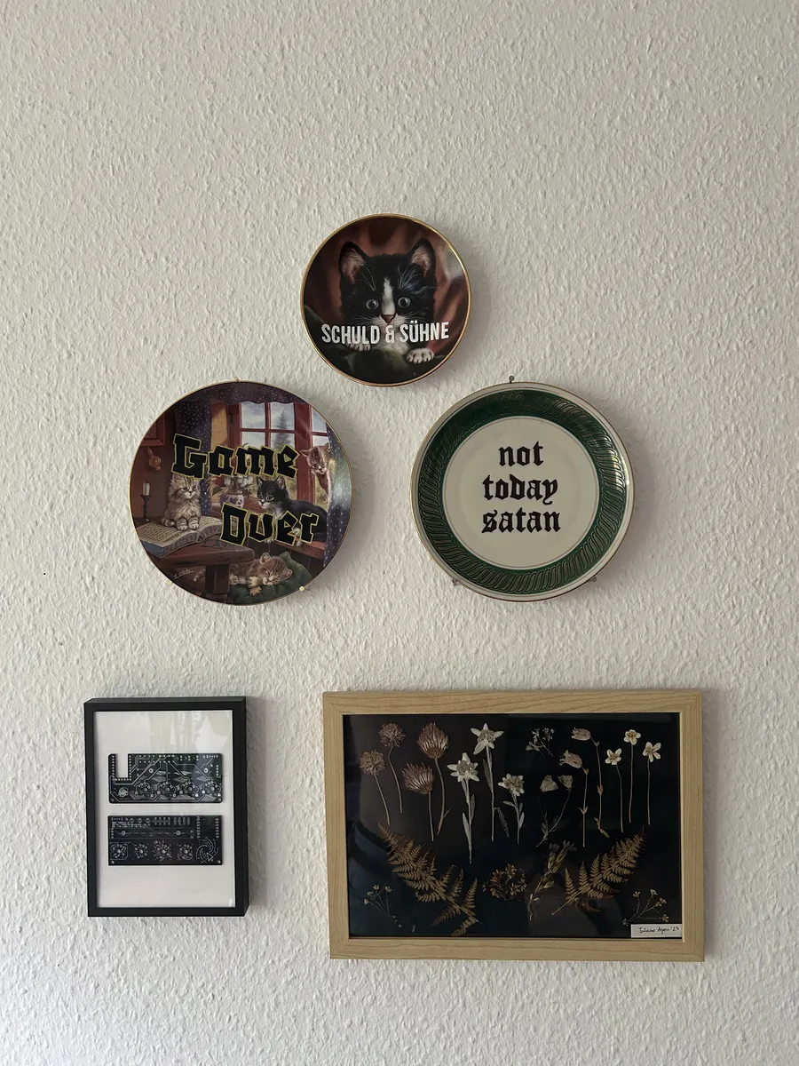 The three plates hung together on a wall above a framed circuit board and a frame of pressed alpine flowers.
